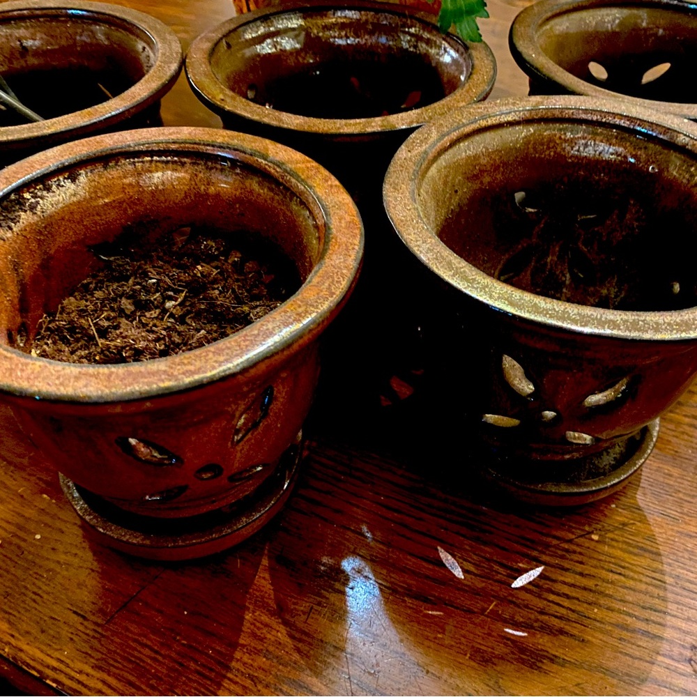 Orchid Planters